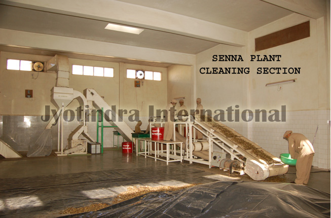 Machin Of Cleaning of Senna,Jyotindra International